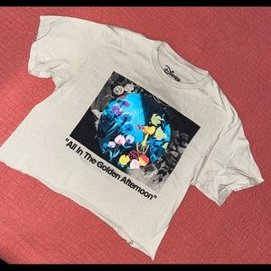 Disney Alice in Wonderland crop tee